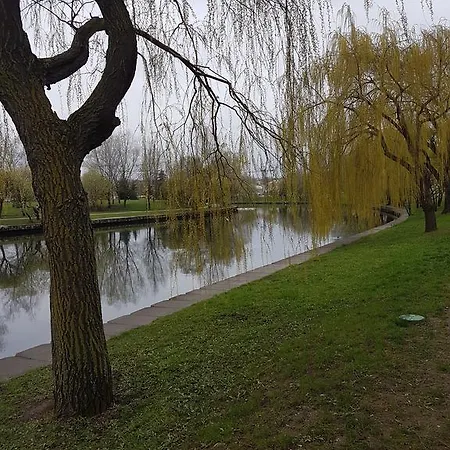 Vasilisa Minsk