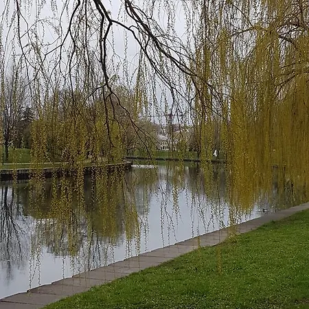 Vasilisa * Minsk
