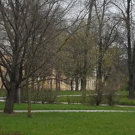 Vasilisa Minsk